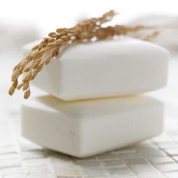 彪盛日用品 品質生活的全方位守護者