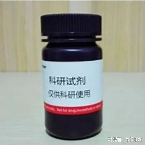 Biotin-PEG10000-NH? 含有生物素和氨基的線性異雙功能PEG在非臨床診斷用生物試劑研發中的應用